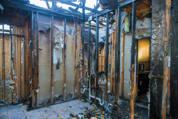 Professional Fire Damage Removal technician working in Aurora, TX